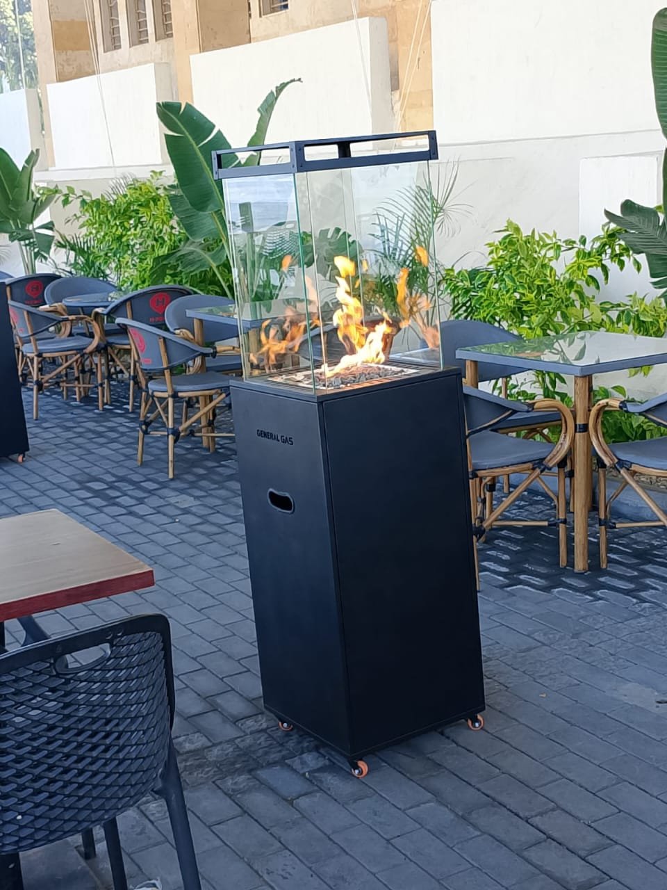 WhatsApp Image 2026-01-29 at 1.38.25 PM